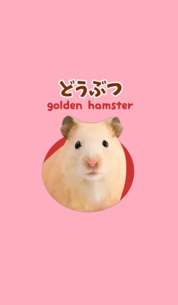 [LINE着せ替え] どうぶつ golden hamster.の画像1