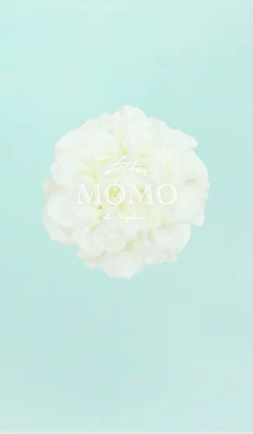 [LINE着せ替え] chic and elegance FLOWER mintの画像1