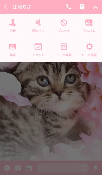 [LINE着せ替え] 癒し子猫♪春桜マンチカンの画像4