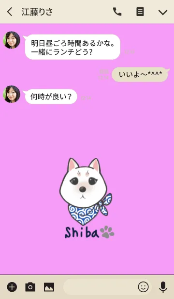 [LINE着せ替え] 白柴イラストきせかえの画像3