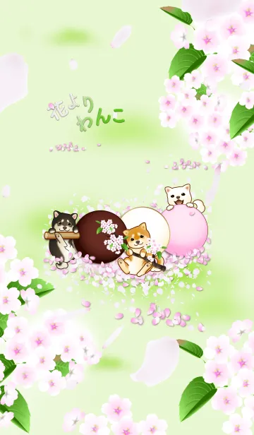 [LINE着せ替え] 花よりわんこ3（柴犬、桜、春、緑）の画像1