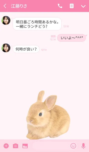 [LINE着せ替え] どうぶつ Rabbitの画像3