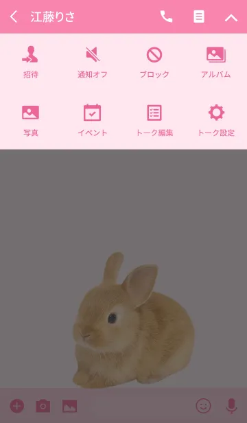 [LINE着せ替え] どうぶつ Rabbitの画像4