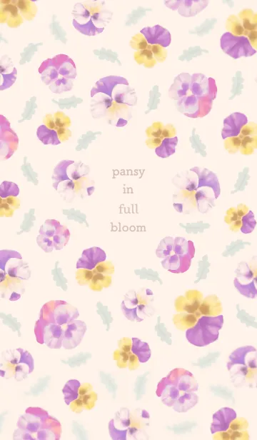 [LINE着せ替え] Pansy in full bloomの画像1