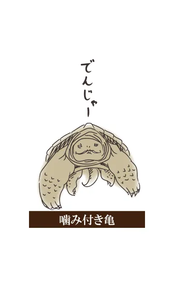 [LINE着せ替え] でんじゃー噛み付き亀の画像1