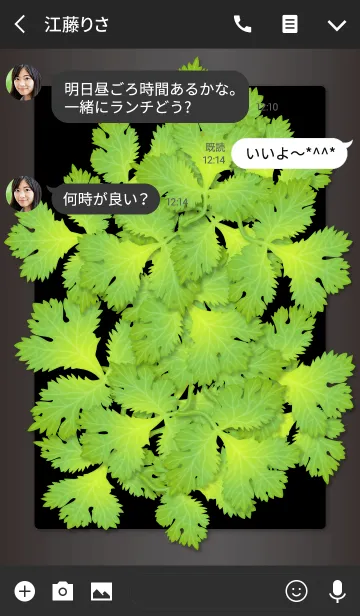 [LINE着せ替え] フレッシュなパクチーの画像3