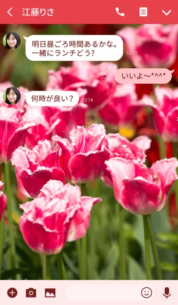 [LINE着せ替え] 赤いチューリップ ver.2の画像3