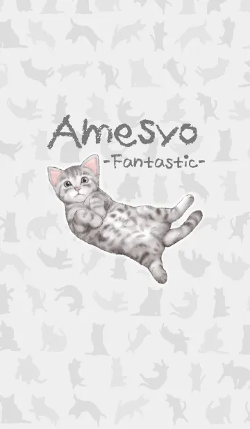アメショ ～★ファンタスティック★～の着せ替えメイン画像