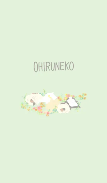 [LINE着せ替え] OHIRUNEKOの画像1